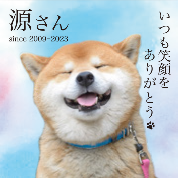 プレートデザインイメージ