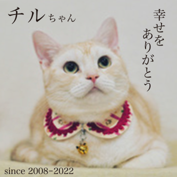 プレートデザインイメージ